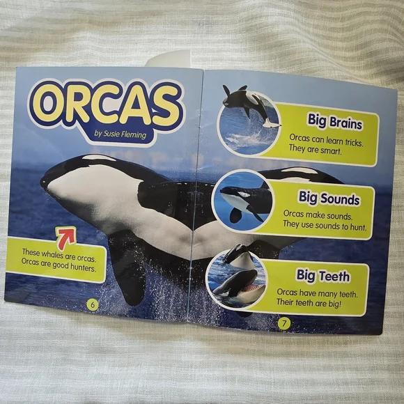 Whales Kids Activity Book - Blue Children's Educational BOOK - Picture 5 of 7